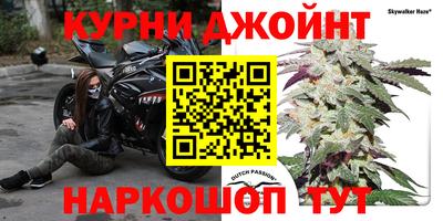 гашик Янаул