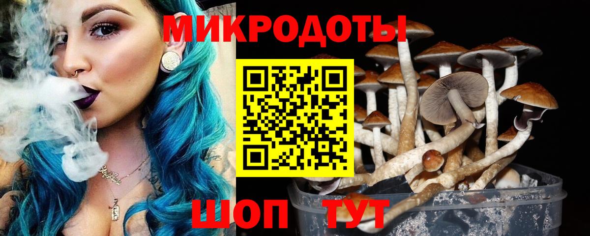 Галлюциногенные грибы прущие грибы Киреевск